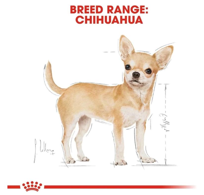 Amazon.co.jp: ロイヤルカナン チワワ 成犬用 1.5kg : ペット用品